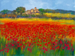 MALLORCA EN PRIMAVERA Jesus  P. Camargo
