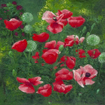 COQUELICOTS ET PISSENLITS Jordane  D. Grux