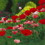 COQUELICOTS Jordane  D. Grux