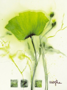 COQUELICOT VERT I   Marthe