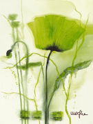 COQUELICOT VERT II   Marthe