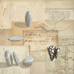 GALETS ET COQUILLAGES Fred  Minard