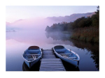 The Mists of Time Peter  Adams