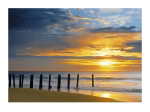 Far Horizon II Doug  Pearson