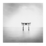 Tori, Takaishima, Honshu, Japan, 2002 Michael  Kenna