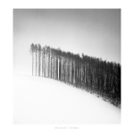 Forest Edge, Hokuto, Hokkaido, Japan, 2004 Michael  Kenna
