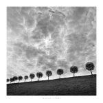 Ten and a Half Trees, Peterhof, Russia, 2000 Michael  Kenna