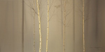 Winterely Wood Ged  Mitchell