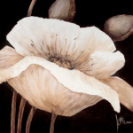 Amazing Poppies II Jettie  Roseboom