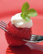 Berry with Cream Sara  Deluca