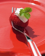 Berry with Mint Sara  Deluca