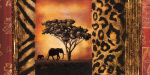 Elephant Collage Nicola  Rabbett