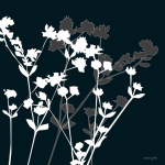 Pure Shadow Flower II Katrine  Alex