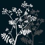 Monochrome Meadow Grass I Katrine  Alex