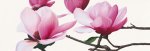 Apollo I (Magnolia) Stephanie  Andrew