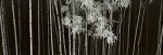 Bamboo - China Helmut  Hirler