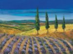 FIELD OF LAVENDER Anna  Paleta