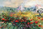 Between the poppies Willem  Haenraets