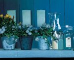 Blue Wouter  Roelofs