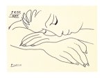 Sleeping Woman Pablo  Picasso