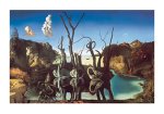 Cygnes refl&eacute;tant des &eacute;l&eacute;phants Salvador  Dali
