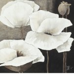 Ambiance II Jettie  Roseboom