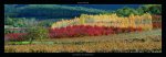 Automne en Provence Laurent  Pinsard