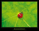 ACHIEVEMENT   Anonymous_I