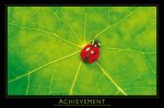 ACHIEVEMENT   Anonymous_I